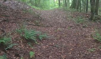 3851 VT Route 215 N, Cabot, VT 05647