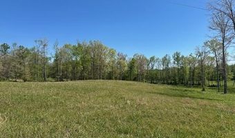 PEAR BLOSSOM Ln lot 10 And 11, Adamsville, TN 38310