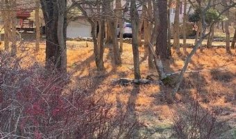 68 LAKEVIEW Dr, Albrightsville, PA 18210