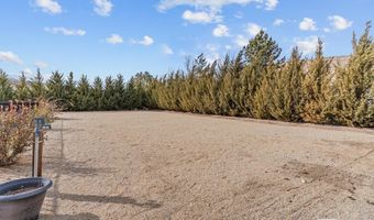 142 Denio Dr, Dayton, NV 89403