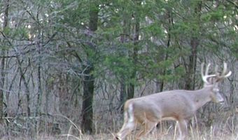 8624 CTH P, Argonne, WI 54511
