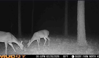 U.S. Highway 51, Bogue Chitto, MS 39629