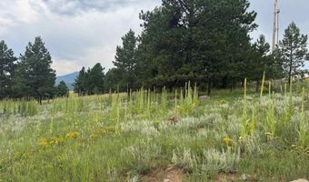 Lot 39 Whymans Black Lake Estates, Angel Fire, NM 87710