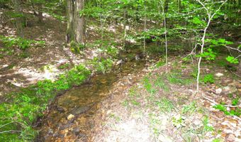 1540 PEPPER Rd 49+/- Acres, Ashland, AL 36251