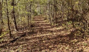 N Fork River Road, Abingdon, VA 24210