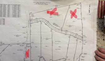 0 GIBSON COVE Dr 7.10 Acres Plus . 58 ac Access Lot, Ashville, AL 35953