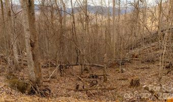 Elliotts Loop 123 & 124, Bakersville, NC 28705