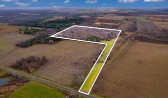 000 Brown, Applegate, MI 48401