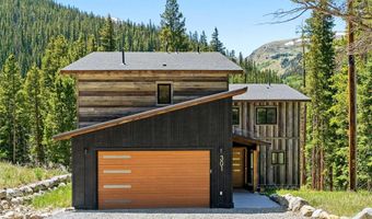 301 Quandary Rd, Breckenridge, CO 80424