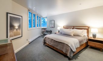 506 W Hallam St, Aspen, CO 81611