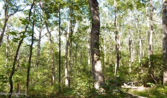 330 County Road 245, Abbeville, MS 38601