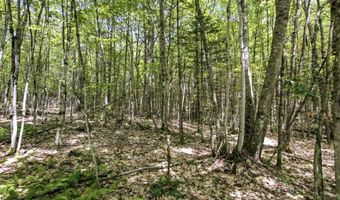 38 F Lang Rd, Bath, NH 03740