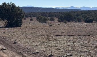 5 N8715, Concho, AZ 85924