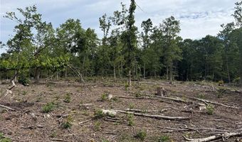 Tract 2 Hidden Valley, Annapolis, MO 63628
