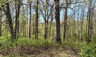 State Highway 76, Ava, MO 65608