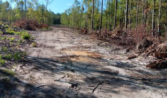 Londe Lane, Barnwell, SC 29812