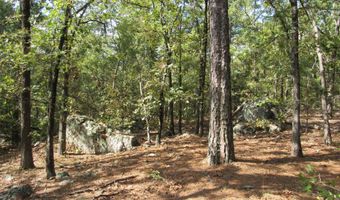 Tract 52 E 1885 Road, Antlers, OK 74523