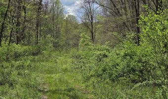 0 Hale Ridge Rd, Beattyville, KY 41311