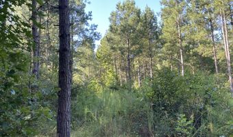 Highway 58, Baskerville, VA 23915