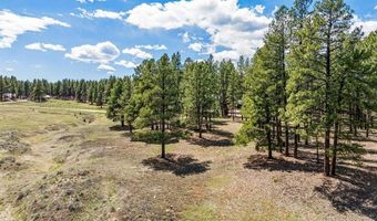841 Beaver Creek Dr, Bayfield, CO 81122