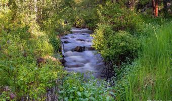 1217 Big Owl Rd, Allenspark, CO 80510