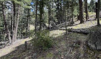 Valley Rd lot 123, Angel Fire, NM 87710