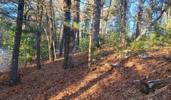 19 Th Pass Lot 16, Arkdale, WI 54613
