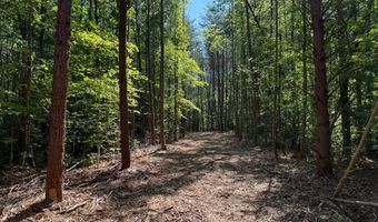 HOLLYWOOD RD, Appomattox, VA 24522