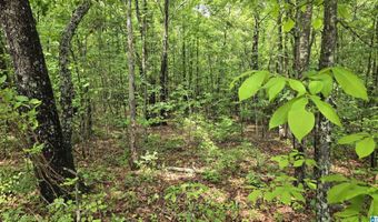 0 CRAGFORD Rd, Ashland, AL 36251