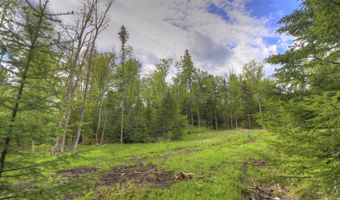 Herr Trail lot 19, Adamstown Twp., ME 04970