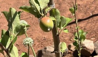 Raz Road lot 102, Ash Fork, AZ 86046