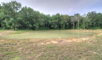618 CR 2619, Alto, TX 75925