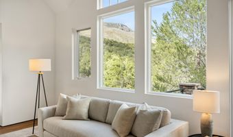 302 Wild Spring Ln, Basalt, CO 81621
