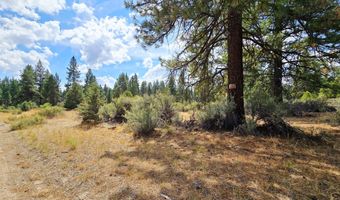 Swan Drive 16 & 17, Bonanza, OR 97623