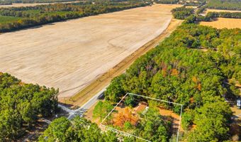 3780 County Road 340, Bell, FL 32619