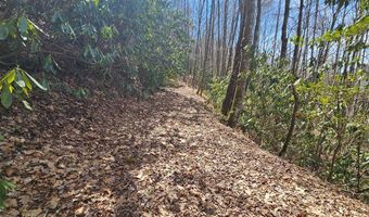 Warrior Way lot 16, Andrews, NC 28901