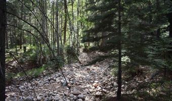 Vallecito Pl, Bayfield, CO 81122