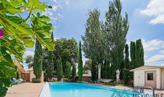 1212 Landsun Dr, Carlsbad, NM 88220