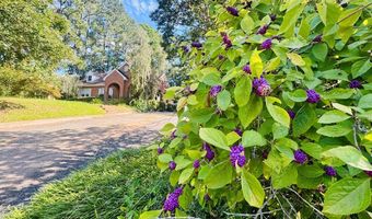 302 Chestnut St, Abbeville, SC 29620