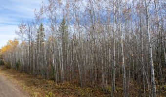 OLD LAKE RD lot On, Anderson, WI 54840