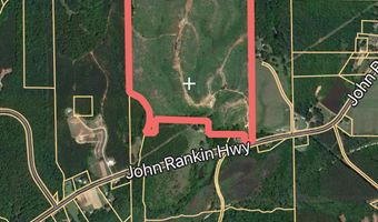 John Rankin Hwy +/-110 acres, Fulton, MS 38843