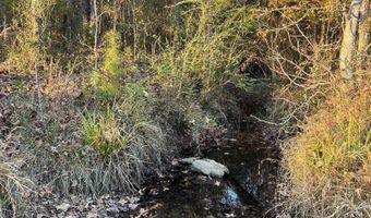 11 Acres RISER MILL ROAD Lot 11 Acres, Alpine, AL 35014