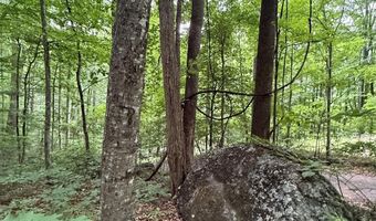 9999 Countryside Est, Barnardsville, NC 28709