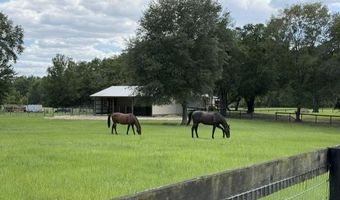 559 SW 15th Ct, Bell, FL 32619