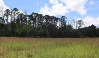Vine Drive, Brandon, MS 39047