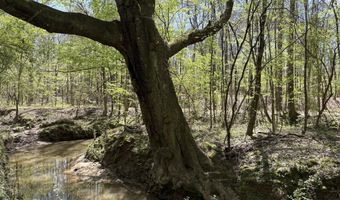 SW Auburn Drive, Bogue Chitto, MS 39629
