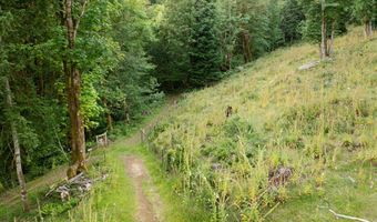 407 N DUBOIS Rd, Ariel, WA 98603