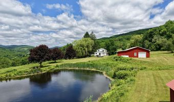 240 Dowie Rd, Andes, NY 13731