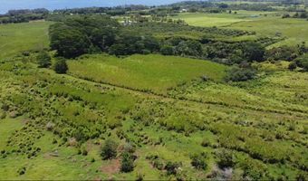 1-3 PRIVATE Rd, Hakalau, HI 96710
