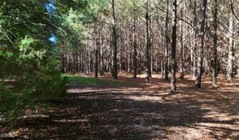 01 Goose Platter Rd, Batesburg, SC 29006